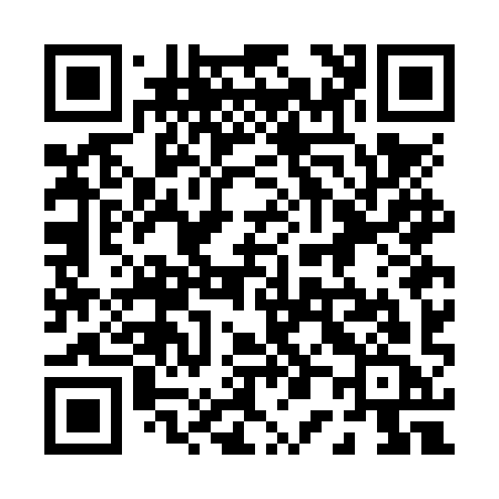 QR code for 007NYC