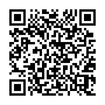 QR code for 007SUR