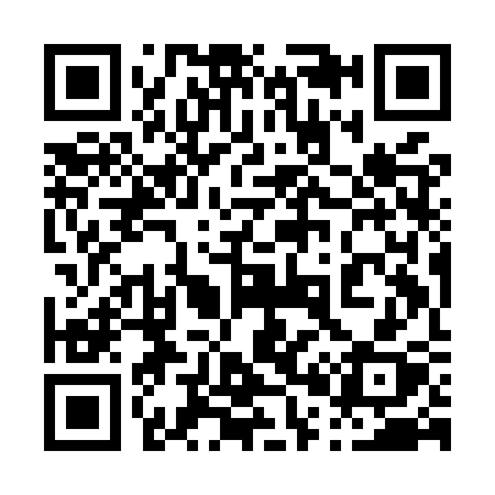 QR code for 009MSX