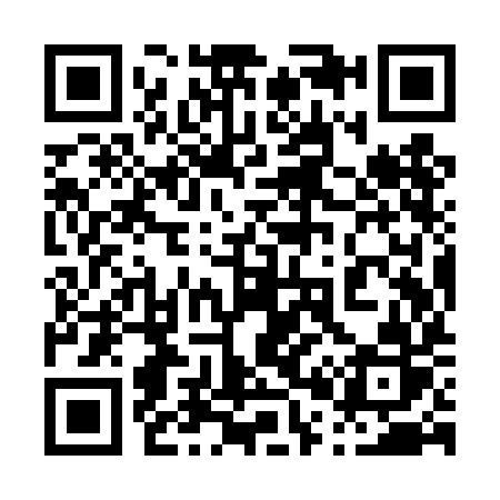 QR code for 009TIR