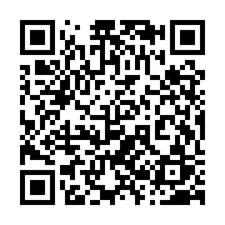 QR code for 029ASR