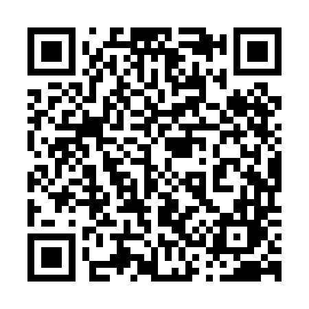 QR code for 038PDL