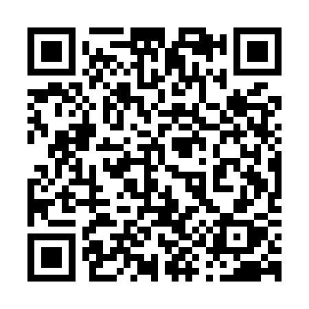 QR code for 091MSX