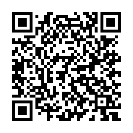 QR code for 095NES