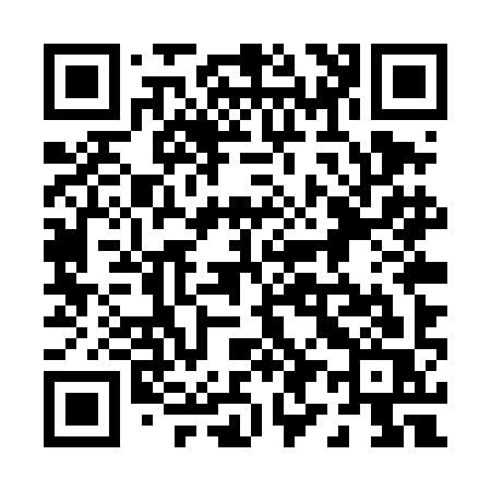 QR code for 095TIS
