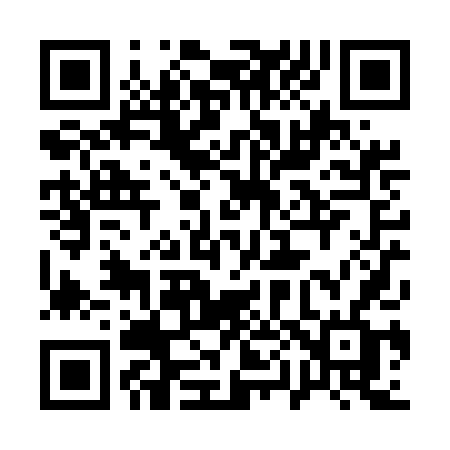 QR code for 100UDF
