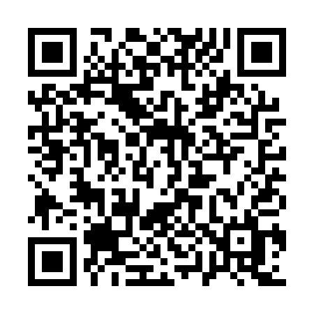 QR code for 101QQL