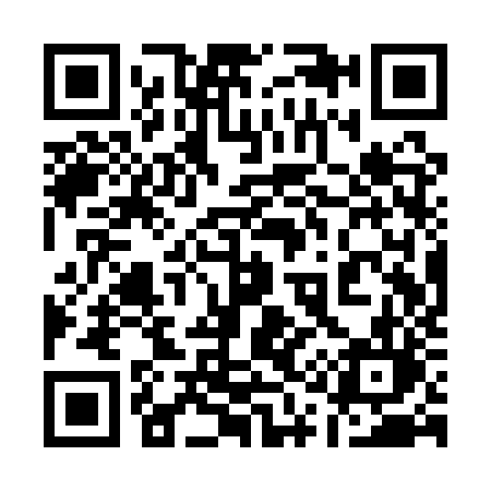 QR code for 111QZL