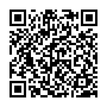 QR code for 113MST