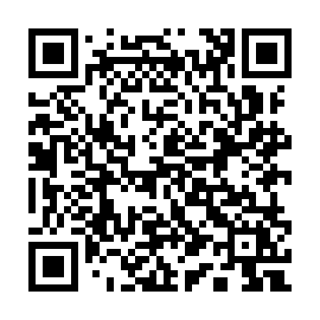 QR code for 119ILX