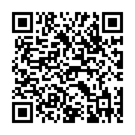 QR code for 119INK