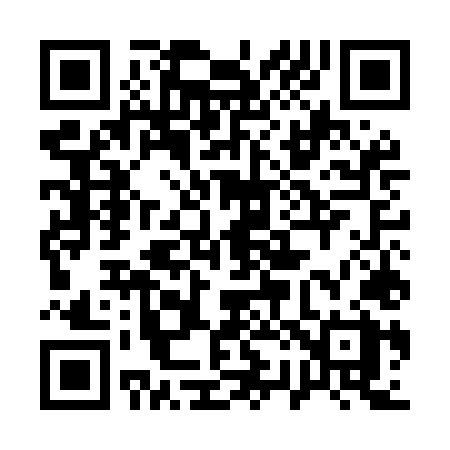 QR code for 125MLX