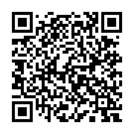 QR code for 133DLI