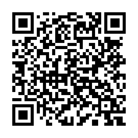 QR code for 133LSV