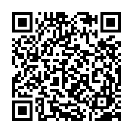 QR code for 141MFL