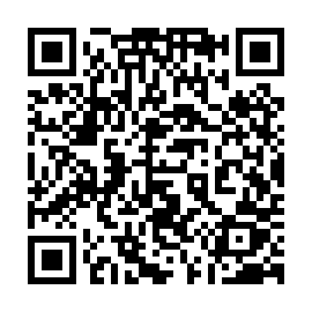 QR code for 153PPZ