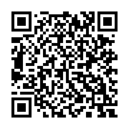 QR code for 155DAO