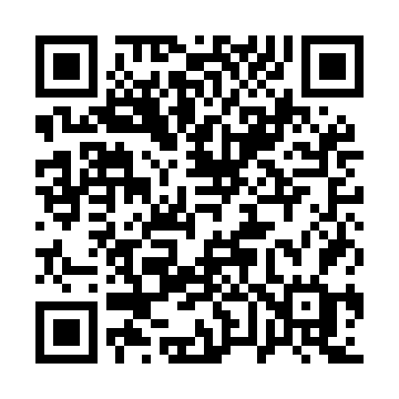 QR code for 161MFG