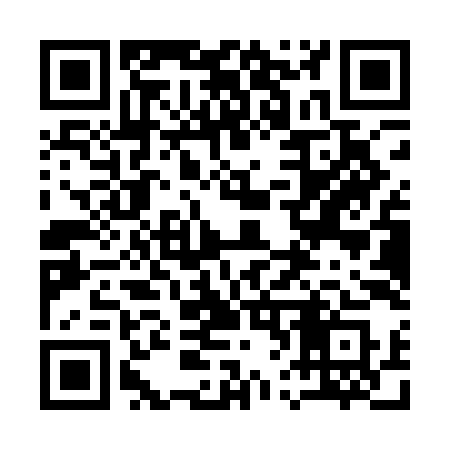 QR code for 161QIS