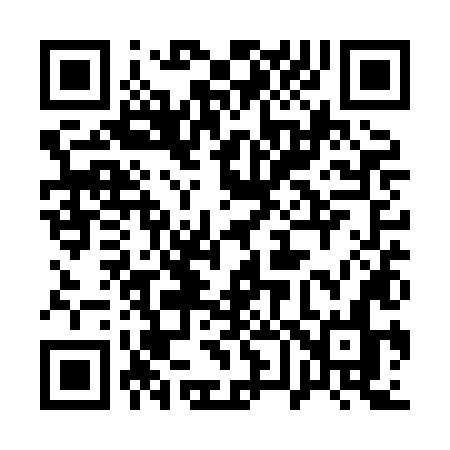QR code for 161XLN