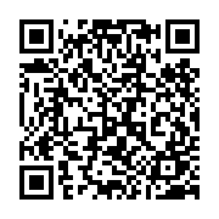 QR code for 193DET