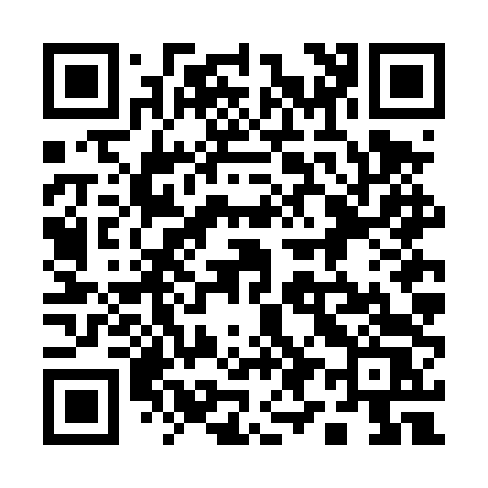 QR code for 196DTS
