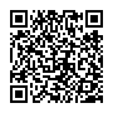 QR code for 196FLY