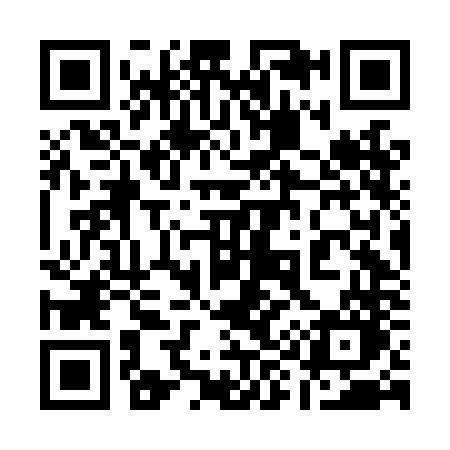 QR code for 196LNO
