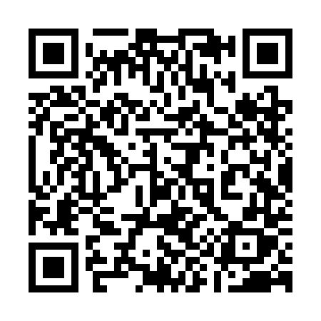 QR code for 196SDX