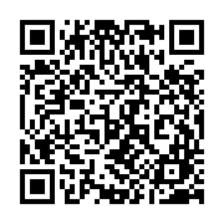 QR code for 199IDL
