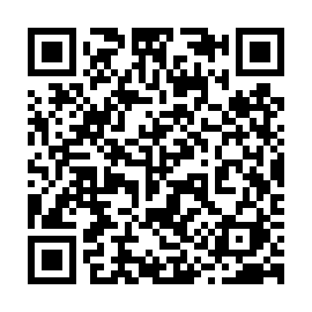 QR code for 213TRI