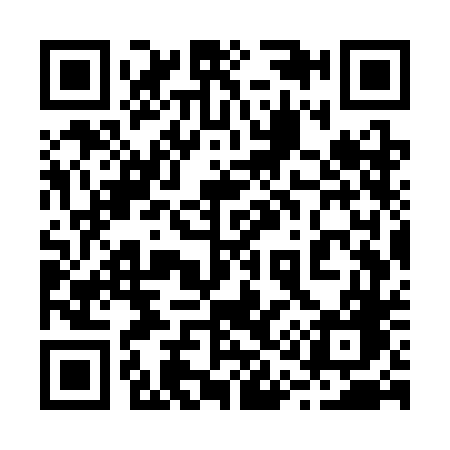 QR code for 217SDG