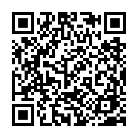 QR code for 219WFE