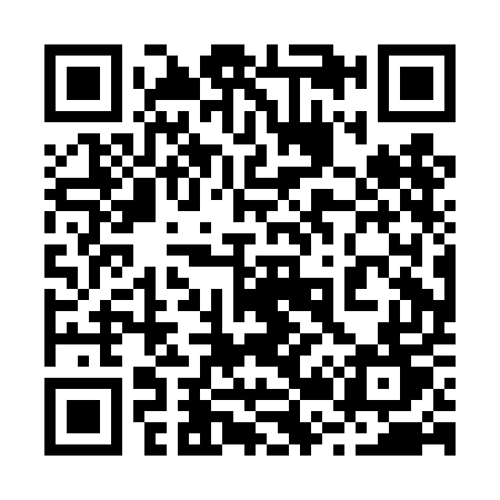 QR code for 220DET