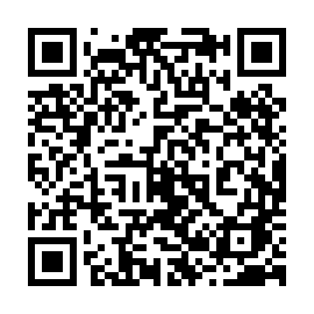 QR code for 220PDA