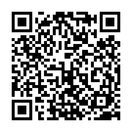 QR code for 221DVM