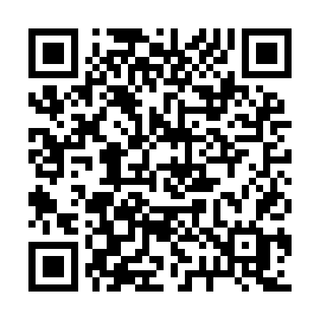 QR code for 221IDG