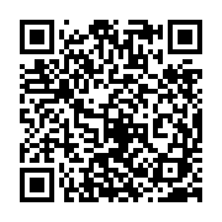 QR code for 221ZDI