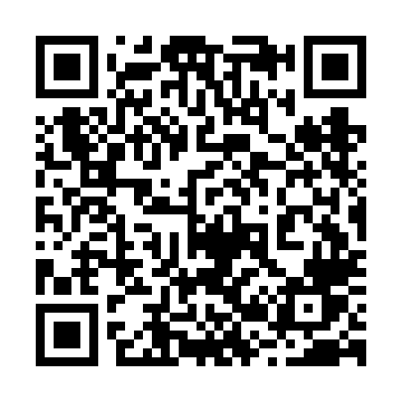 QR code for 223FLV