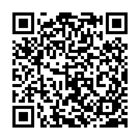 QR code for 223PUO