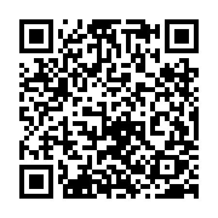 QR code for 225CMX
