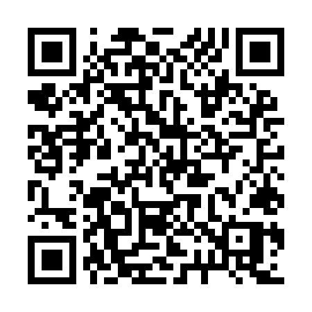 QR code for 225ILP