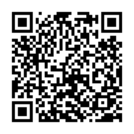 QR code for 225TMP