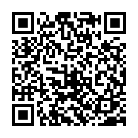 QR code for 228IQS