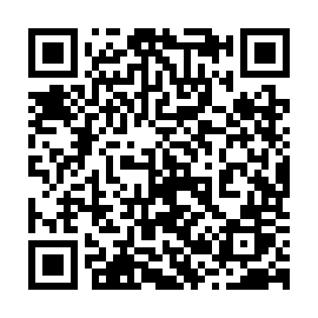QR code for 228SOR