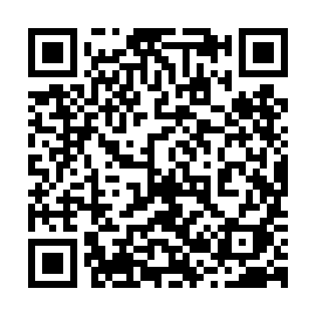 QR code for 228TII