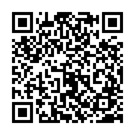 QR code for 229INR