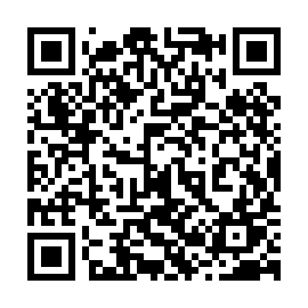 QR code for 229PIT