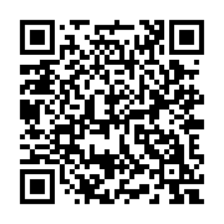QR code for 238PIO