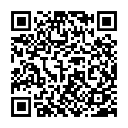 QR code for 238QAP